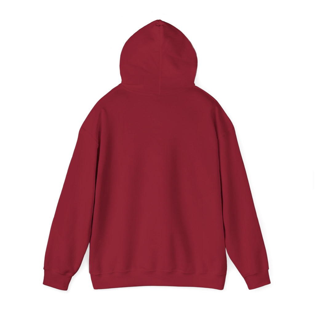 Jesus Is King Hoodie — Faith-Based Streetwear Pullover