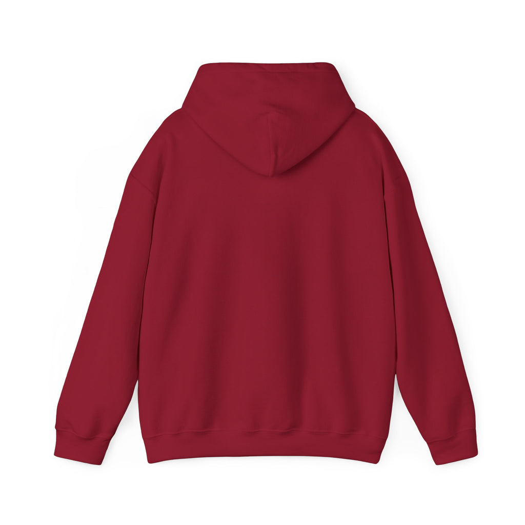 Jesus Is King Hoodie — Faith-Based Streetwear Pullover