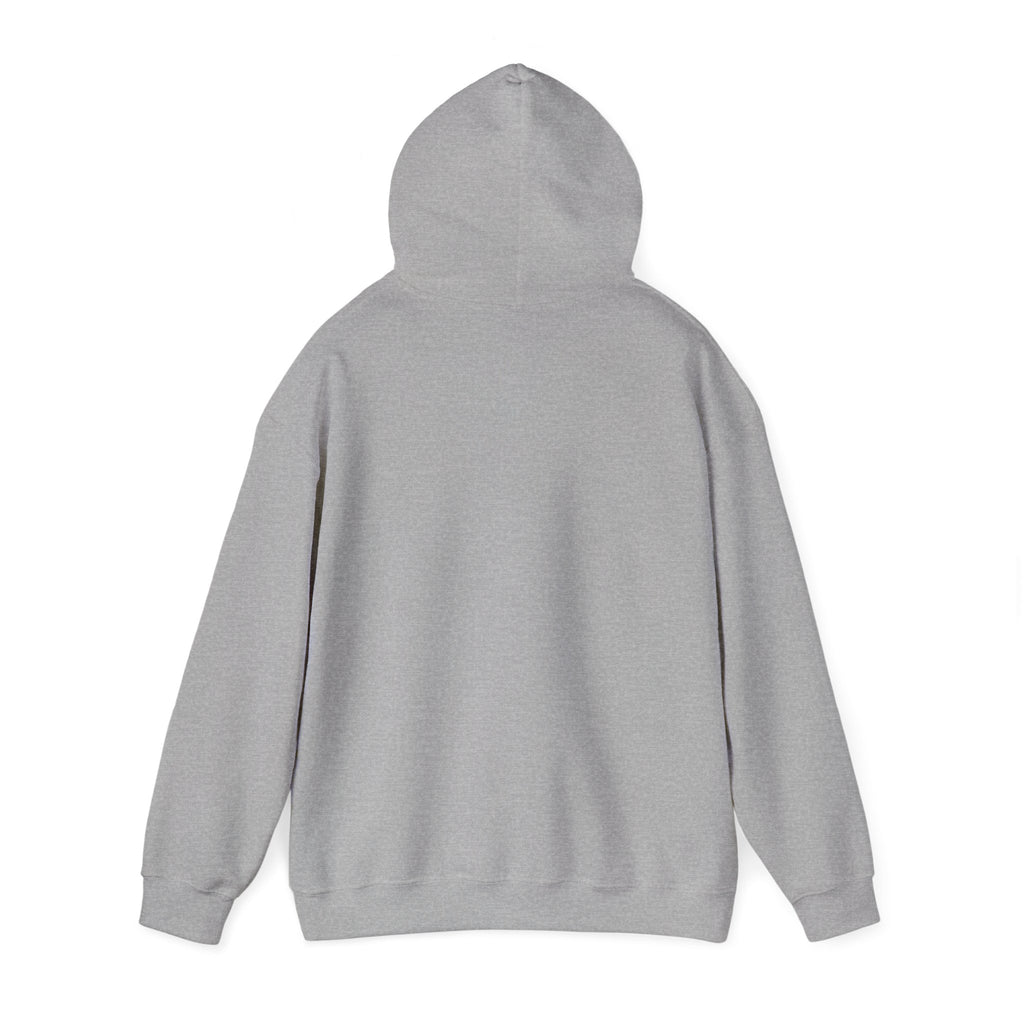 HE'S Alive. Jesus is King Hoodie – Faith Statement